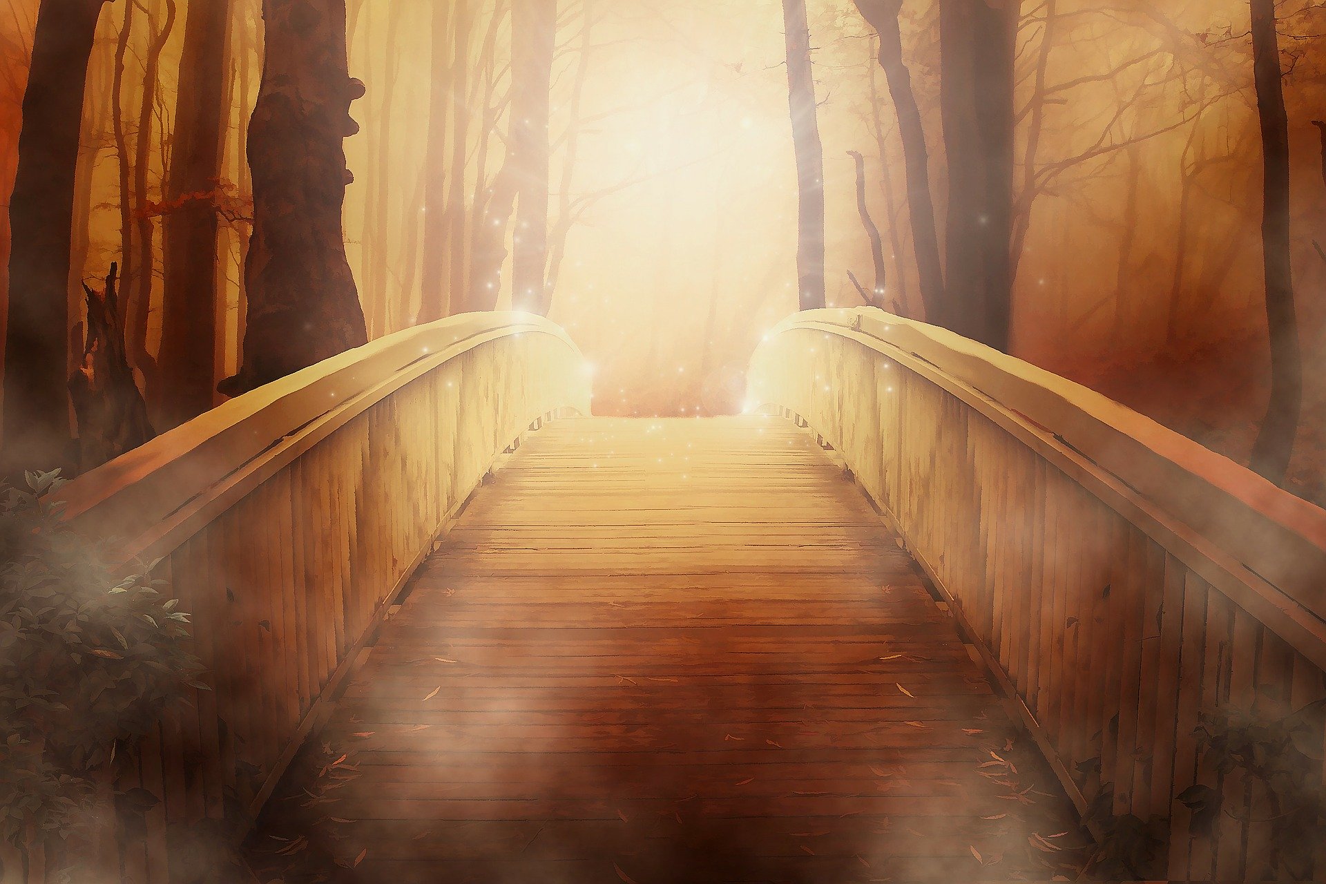 bridge-19513_1920