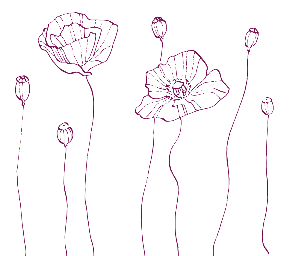 Design ohne Titel (3)